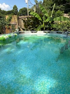 IMG_0100.jpeg