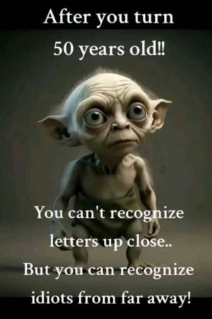 d10df56c3380f4bac22f9222169d0efe.jpg