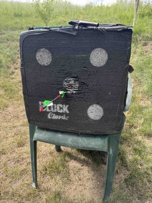Firstshots2025.jpg