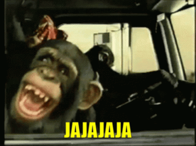 laughing-monkey-driving-car-jajajaja-meme-y90spuypot7i4q90.gif