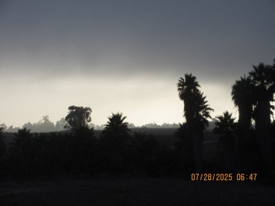 IMG_0475.JPG