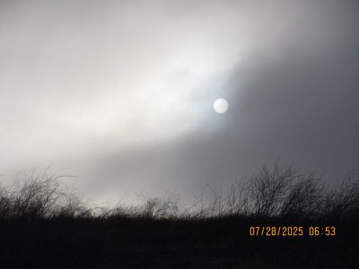 IMG_0482.JPG