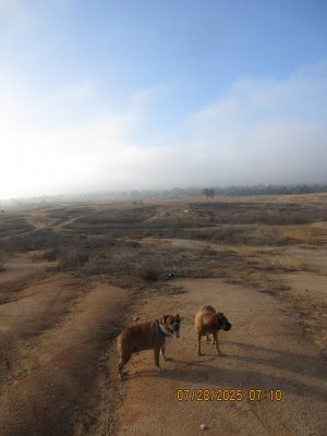 IMG_0492.JPG