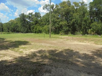 new fence 2.JPG