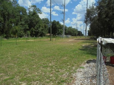 new fence.JPG