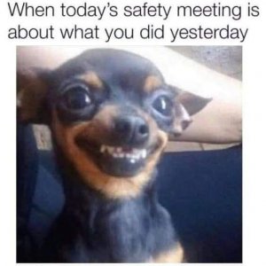 FB_IMG_1753669685468.jpg