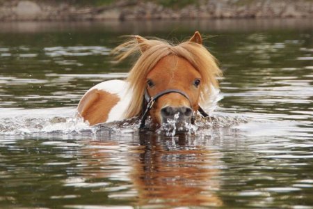 water2.jpg