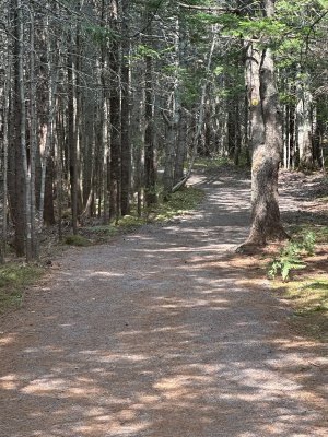 IMG_9881.jpeg