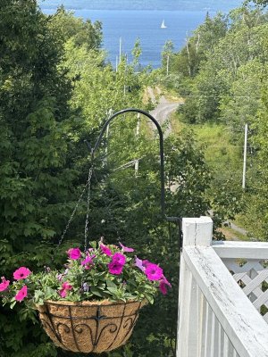 IMG_9884.jpeg