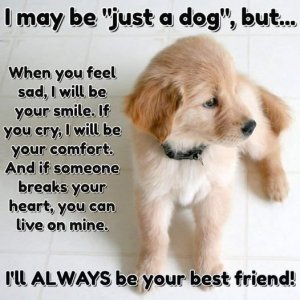 forever friend.jpeg