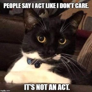 FB_IMG_1753799250134.jpg
