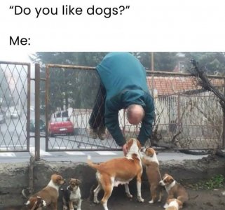 FB_IMG_1753842910183.jpg