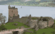 1753986202406.gif