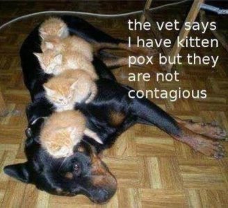 IMG_2266.jpeg