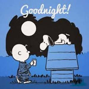 night 07 31 25.jpg