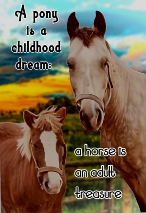 A-Pony.jpg