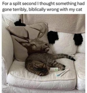 0.jpg