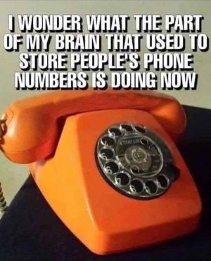 phone.jpg