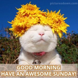 sunday-fun123.jpg