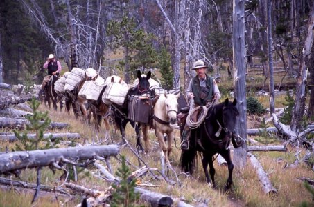 pack4.jpg