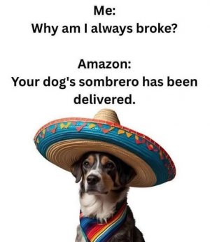 always broke.jpg