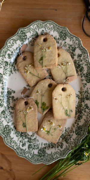 timoc biscuits.jpg