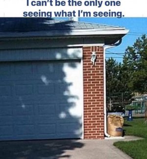 IMG_8881.jpeg