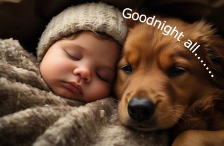 goodnight.jpg