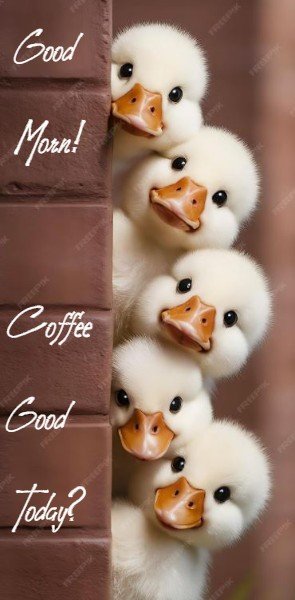 mornpeek.jpg