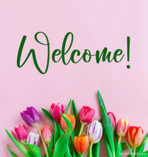 welcome.tulips.jpg