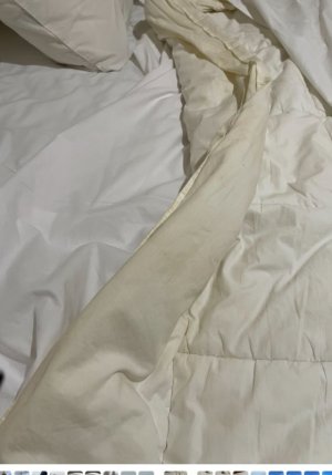 IMG_0587.jpeg