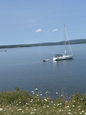 IMG_9979.jpeg
