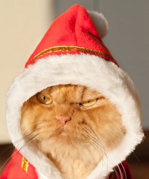 santa.jpg