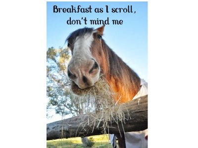 scrollBkfast.jpg