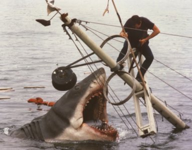 shark.jpg