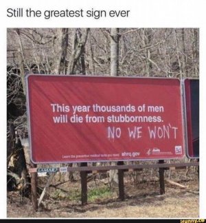 526390711_1185963990215141_7080583303117167894_n.jpg