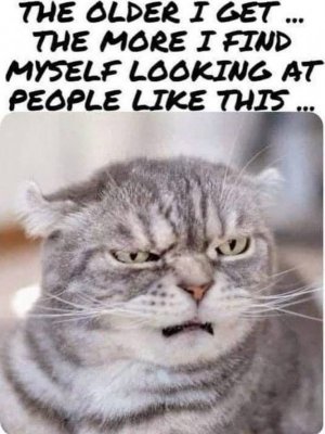 a6425e243bc6678552bde5a2fe2e46a8.jpg