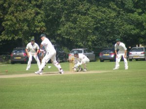 cricketonthegreen.jpg