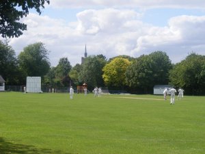 cricketonthegreen2ash.jpg