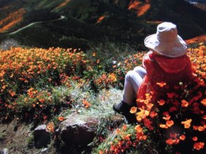 IMG_0913.JPG