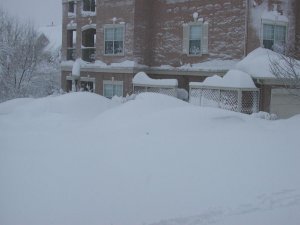 blizzard03g.jpg