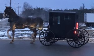 F722C064-E6DF-4DB5-833C-CB985A14743B.jpeg