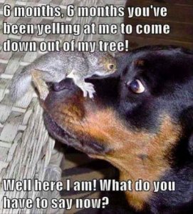 you wanted me.jpg