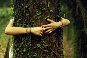 tree hug.jpg