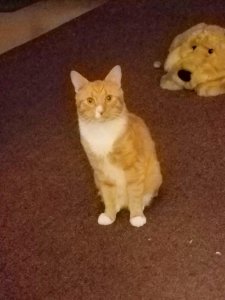 20160926_221313.jpg