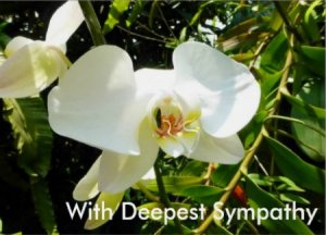 Cream-Orchid-Sympathy-Card-Printable.jpg