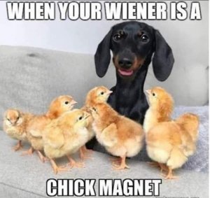 1527E6C8-F548-478B-9D2E-C39E2F4F2FED.jpeg