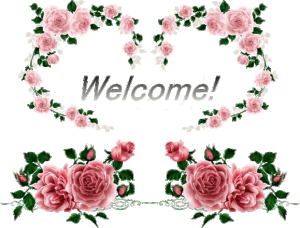 Wonderful-welcome.gif