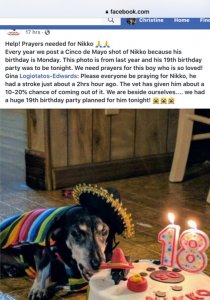 FACC8540-3146-4187-A06F-037A0FD8019F.jpeg