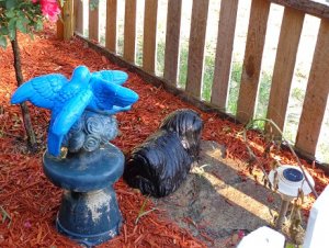 Taz and Judy statue.JPG